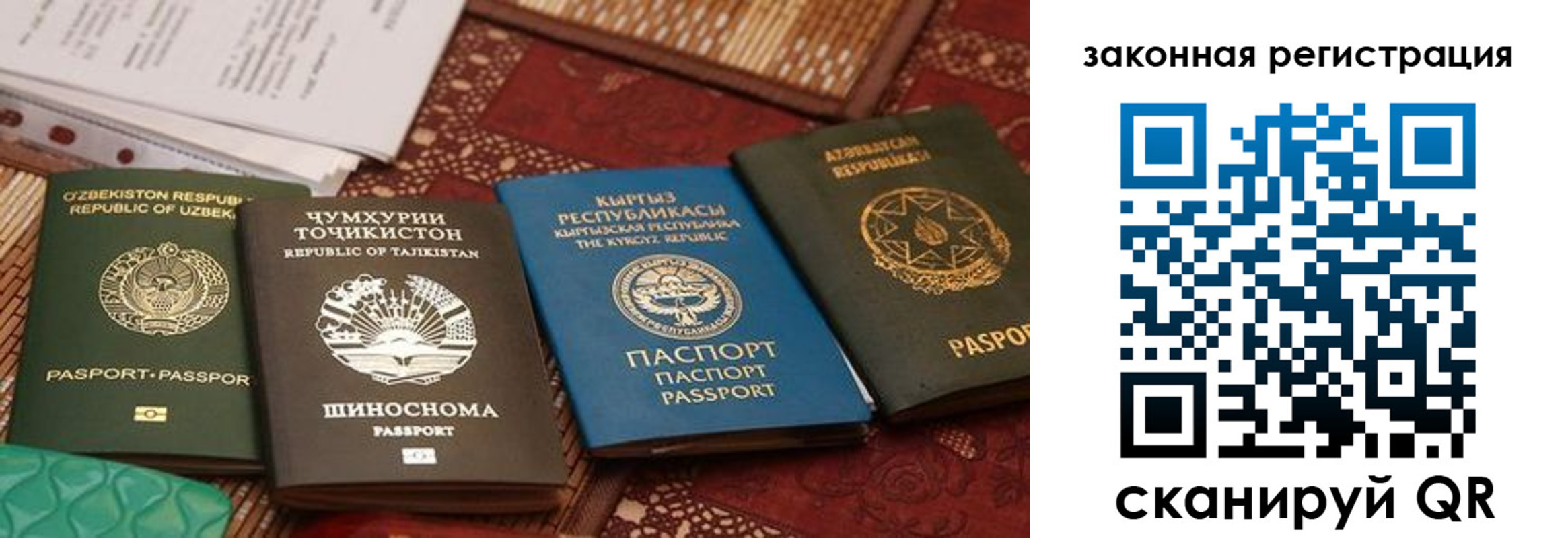 пропишу в квартире в Красном Куте