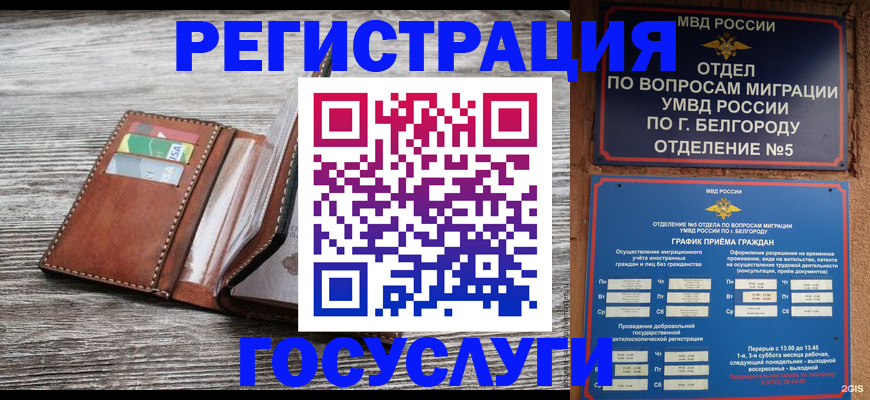 временная регистрация гарантия в Красном Куте